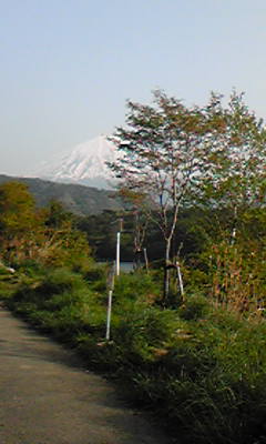 西湖＆富士山.jpg