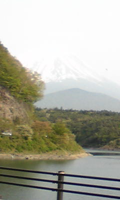 精進湖＆富士山.jpg